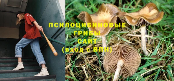 дмт Алексеевка