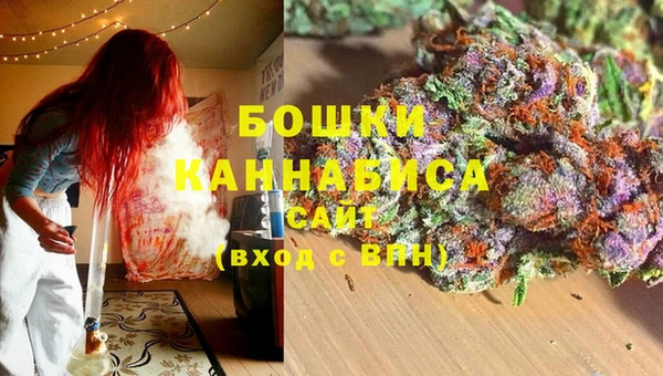 шишки Алзамай