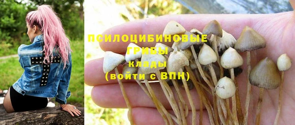 кокаин премиум Алексин