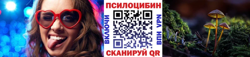 закладки  Олонец  Псилоцибиновые грибы Cubensis 